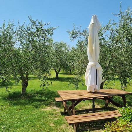 Agriturismo Melariano Castelnuovo Berardenga Exteriör bild