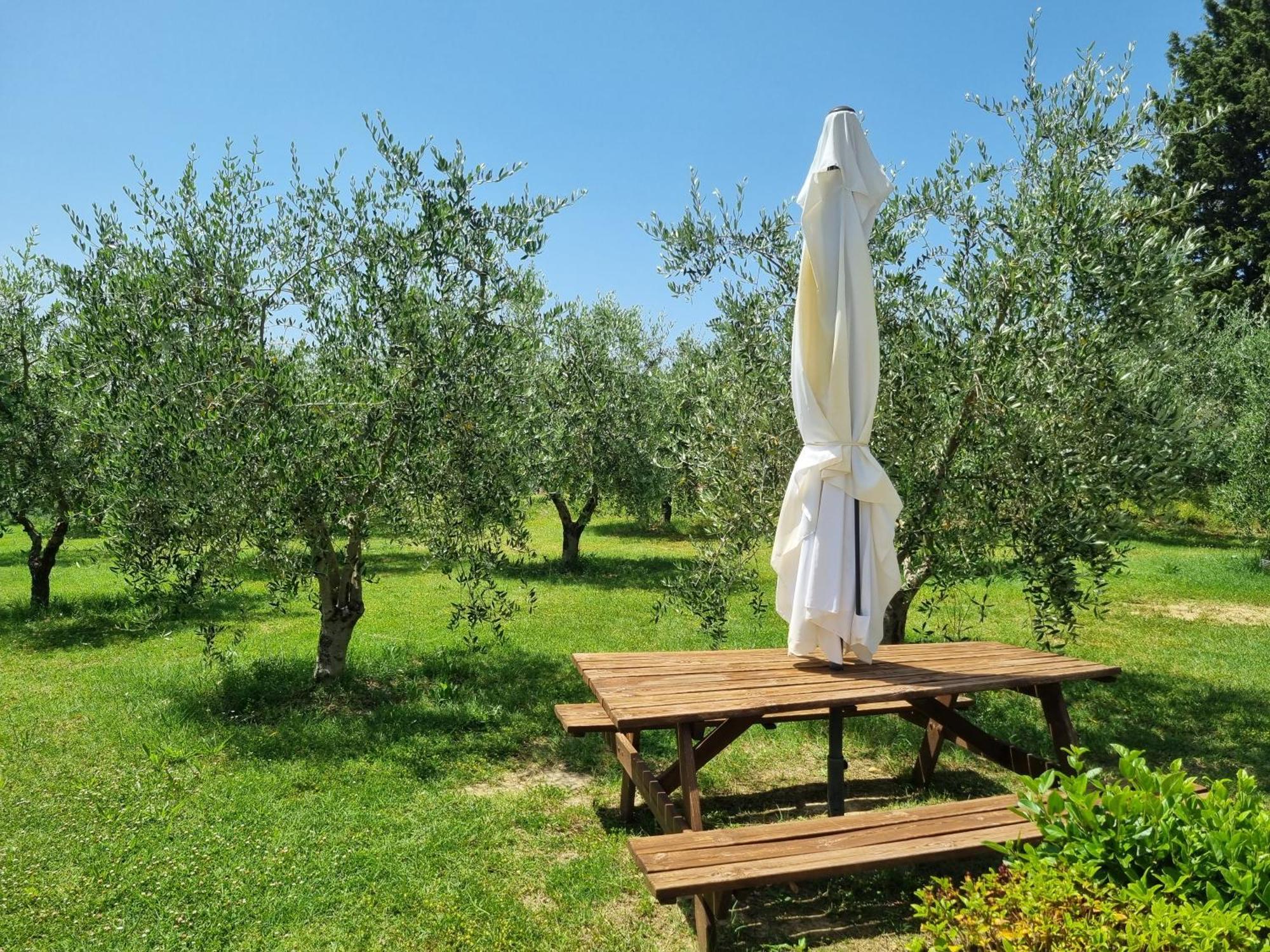 Agriturismo Melariano Castelnuovo Berardenga Exteriör bild
