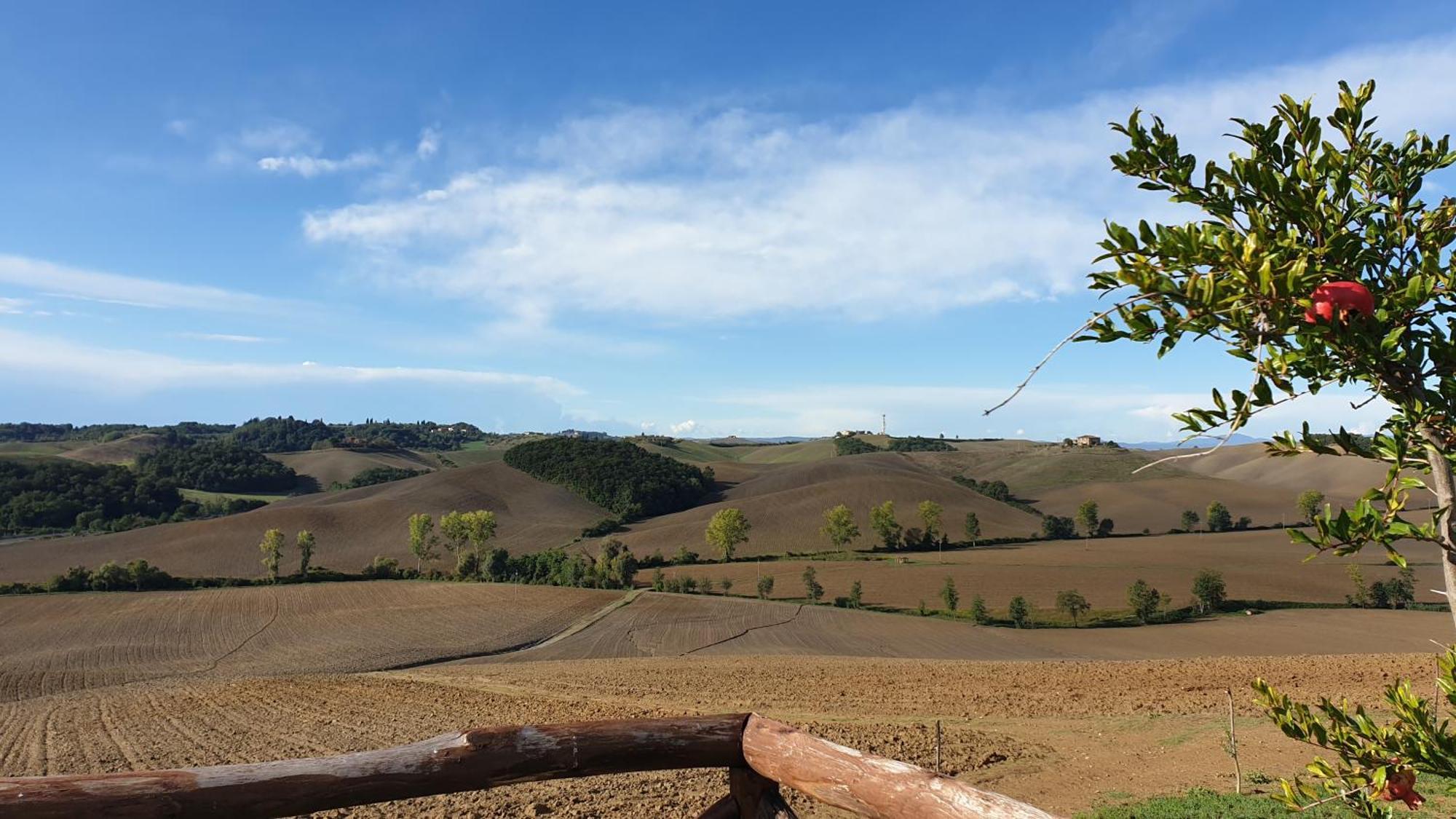 Agriturismo Melariano Castelnuovo Berardenga Exteriör bild